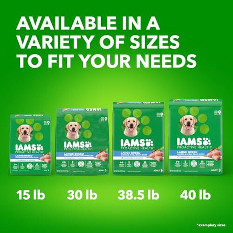 IAMS Proactive Health Large Breed Adult Dry Dog Food 15 Lb Chicken Nutrition