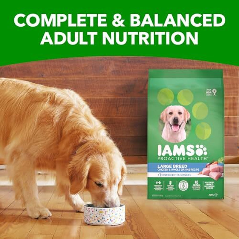 IAMS Proactive Health Large Breed Adult Dry Dog Food 15 Lb Chicken Nutrition