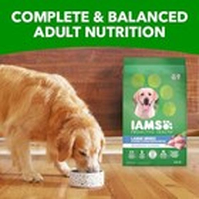 IAMS Proactive Health Large Breed Adult Dry Dog Food 15 Lb Chicken Nutrition