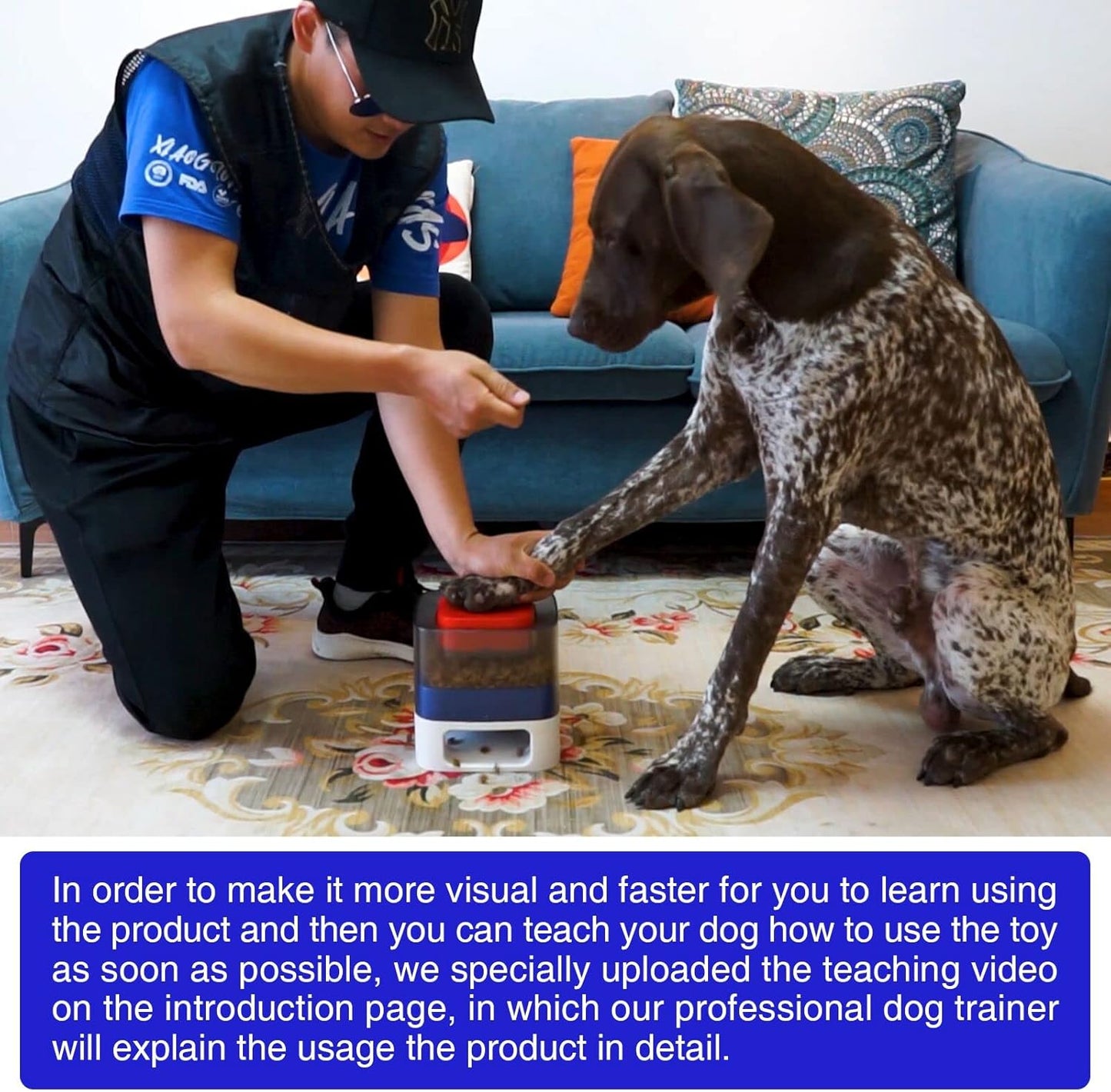 Dog Puzzle Toy Dogs Brain Stimulation Mentally Stimulating Toys Puppy Treat Food Dispenser Level-2 Interactive Game for Small/Medium/Large Training Chewer Birthday Gift